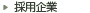 �̗p���